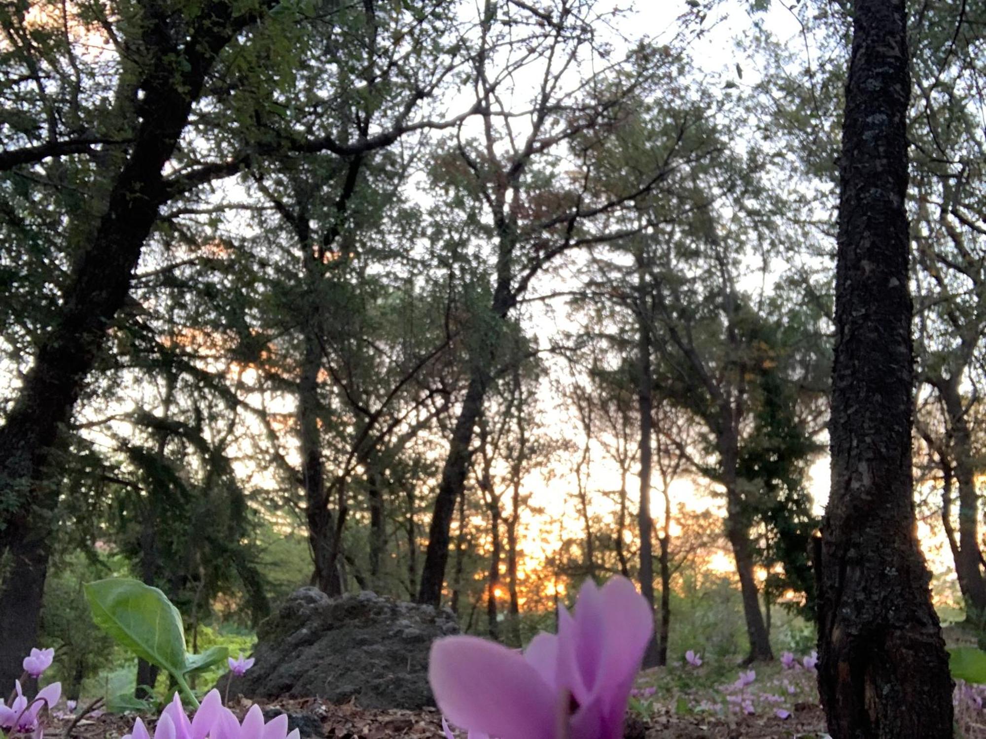 란다조 Poggio Roseto 빌라 외부 사진
