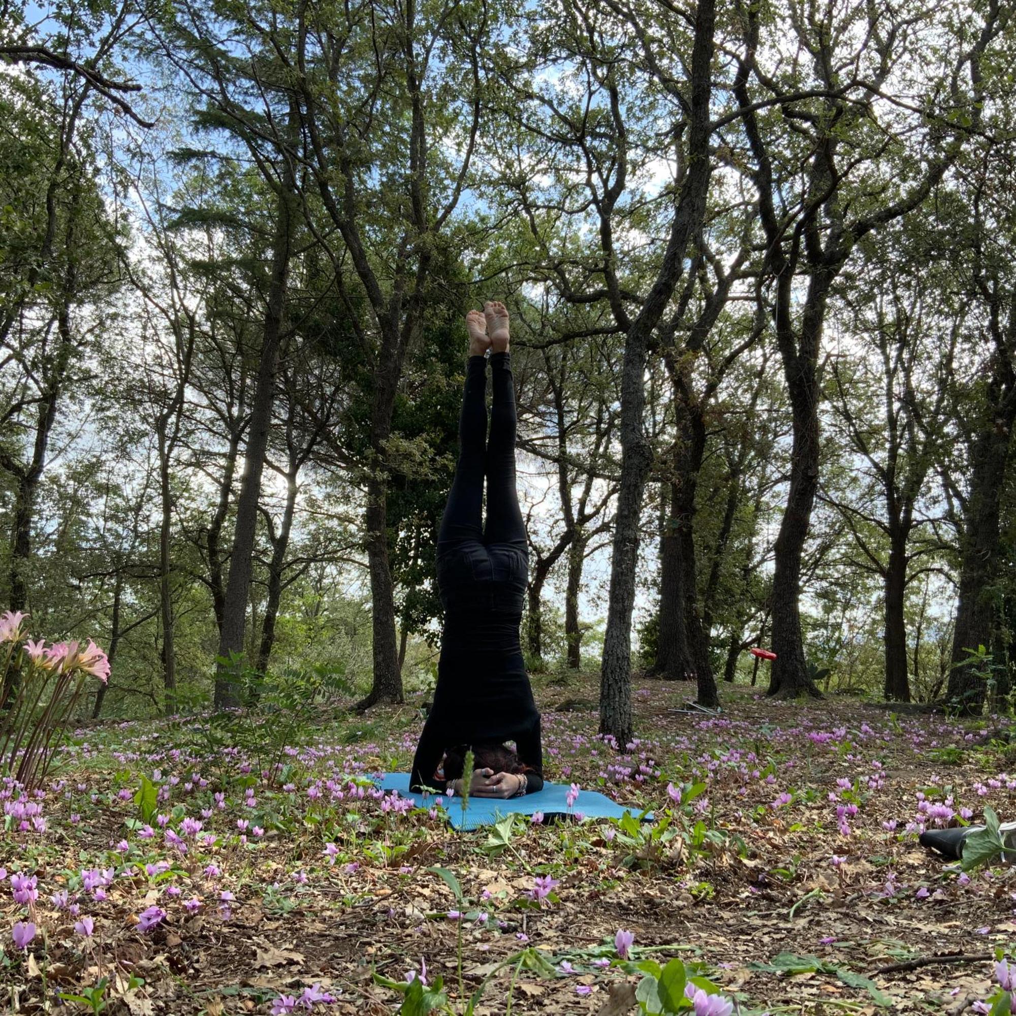 란다조 Poggio Roseto 빌라 외부 사진